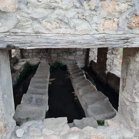 Del Valle Vtar Jaen